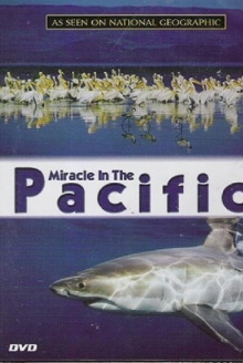Miracle in the Pacific Trailer