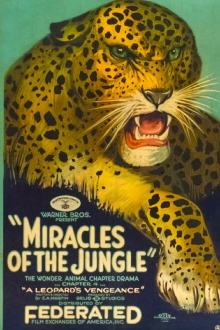 Miracles of the Jungle Trailer