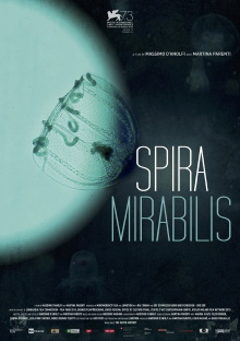 Miraculous Spiral Trailer