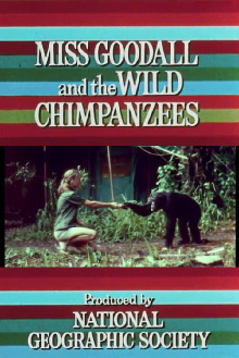 Miss Goodall and the Wild Chimpanzees Trailer