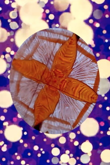 Mitochondrial Ballet Trailer