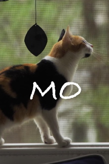Mo Trailer