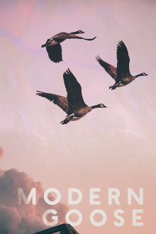 Modern Goose Trailer