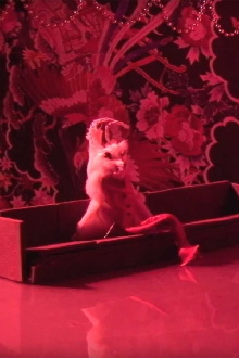 Mole Trailer