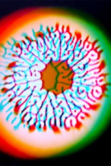 Molecular Feedback Trailer