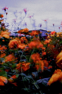 Monet Trailer