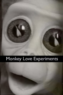 Monkey Love Experiments Trailer