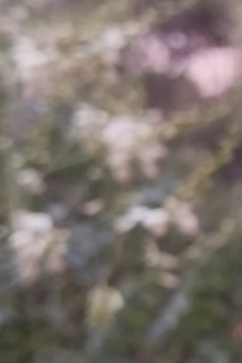 Monotony Trailer