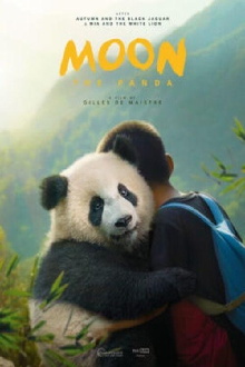 Moon the Panda Trailer