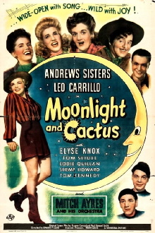 Moonlight and Cactus Trailer