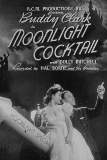Moonlight Cocktail Trailer