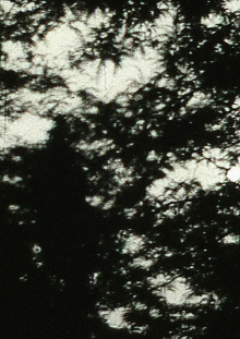 Moonplay Trailer