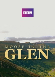 Moose in the Glen Trailer