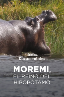 Moremi, el reino del hipopótamo Trailer