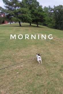 Morning Trailer