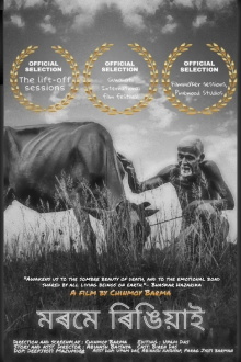 Morome Ringiyaai Trailer