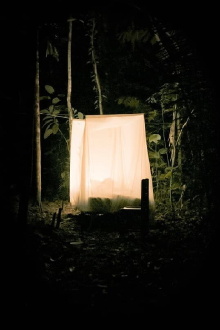 Morpho Trailer