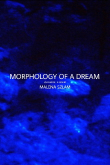 Morphology of a Dream Trailer