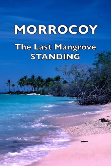 Morrocoy: The Last Mangrove Standing Trailer