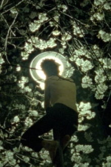 Moth Trailer