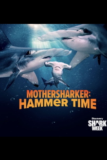 Mothersharker: Hammertime Trailer