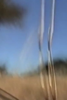 Mount Magnet Trailer