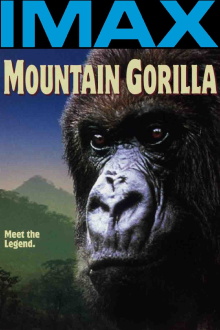 Mountain Gorilla Trailer
