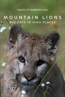 Mountain Lions: Big Cats in High Places Trailer