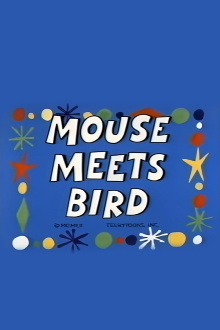 Mouse Meets Bird Trailer
