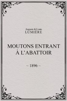 Moutons entrant à l'abattoir Trailer