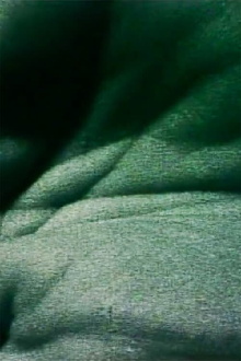 Mouvement in the Inside of My Left Hand Trailer