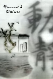 Movement and Stillness Trailer
