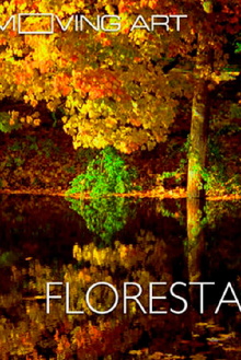 Moving Art: Forests Trailer