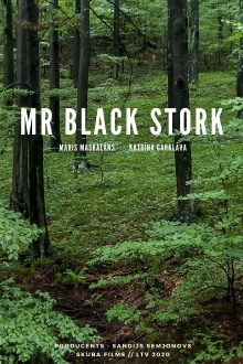Mr Black Stork Trailer
