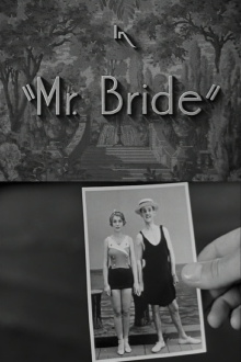 Mr. Bride Trailer