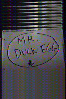Mr. Duck-Egg Trailer