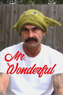 Mr. Wonderful Trailer