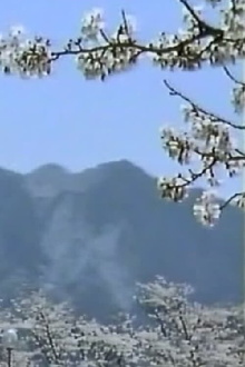 Mt. Buko Trailer