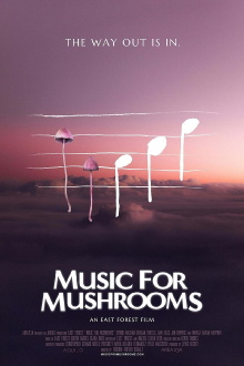Music for Mushrooms Trailer