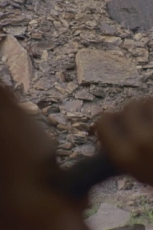 music from the edge of the allegheny plateau Trailer