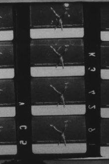 Muybridge Film Trailer