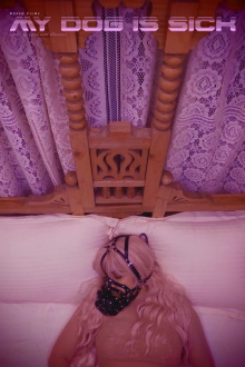 My Dog Is Sick Trailer