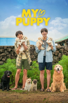 My Heart Puppy Trailer