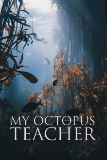 My Octopus Teacher Trailer