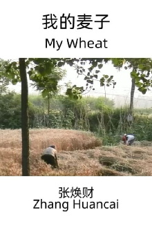 My Wheat Trailer