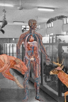Myanmar Anatomy Trailer
