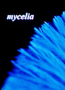 mycelia Trailer
