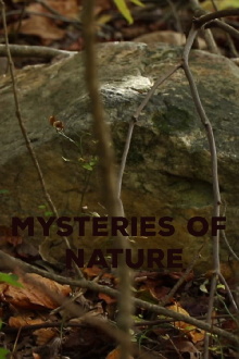 Mysteries of Nature Trailer