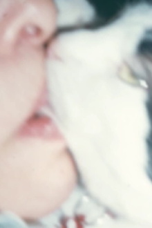 Mysteries of the Pussies Trailer