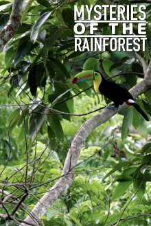Mysteries of the Rainforest Trailer